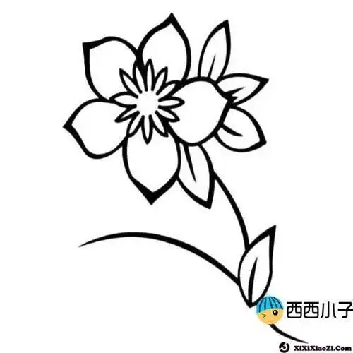 小花的画法色彩简笔画