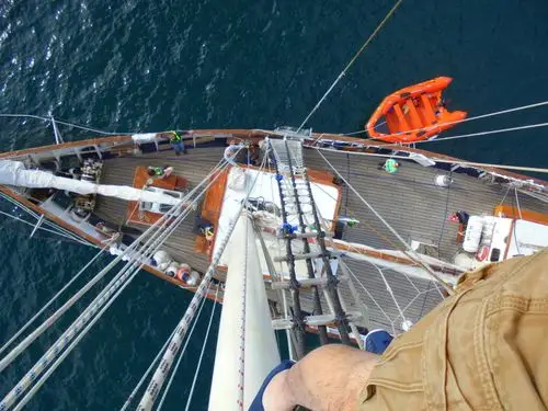 blue clipper traineeship 2