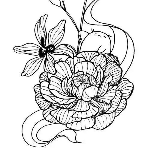 花的简笔画点线面