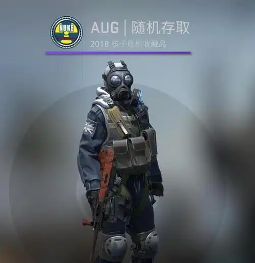 csgo皮肤推荐aug随机存取