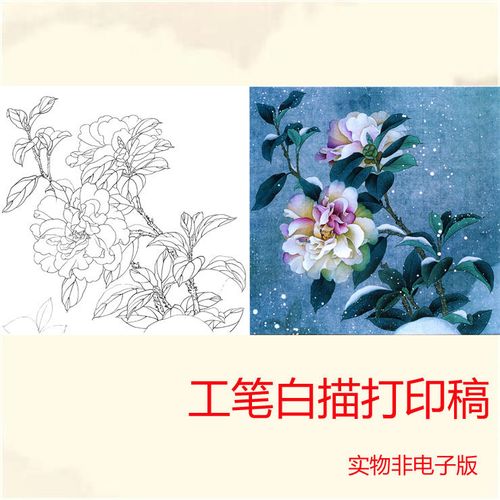 a263工笔画白描底稿茶花白描稿山水人物花鸟动物线描临摹实物画稿