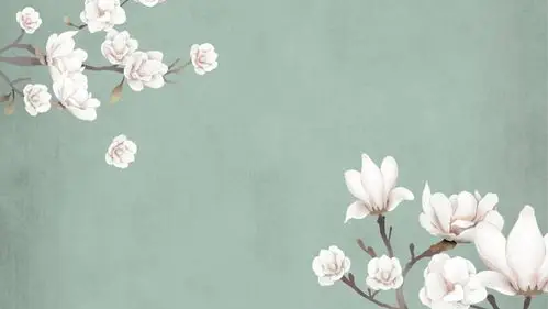 四张唯美艺术花卉幻灯片背景图片 - 第一ppt