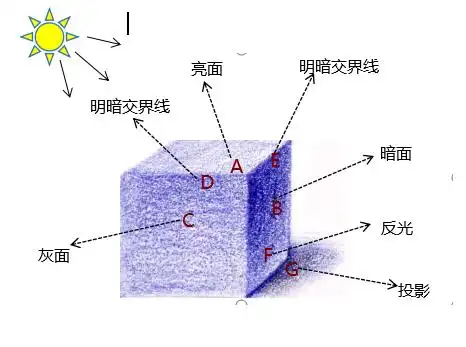 绘画入门小知识如何读懂光影关系