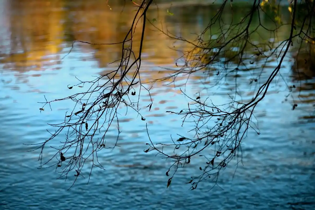 风景 #水中倒影 #高清壁纸  - 抖音