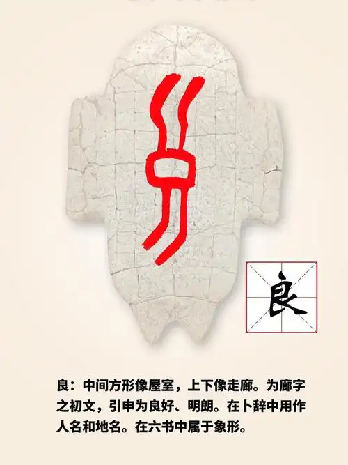 一起学习甲骨文良安阳甲骨文素材来源中国文字博物馆微信公众号安阳融
