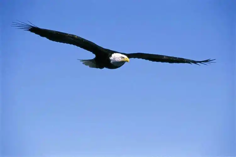 又是一年毕业季,雏鹰起飞道别离