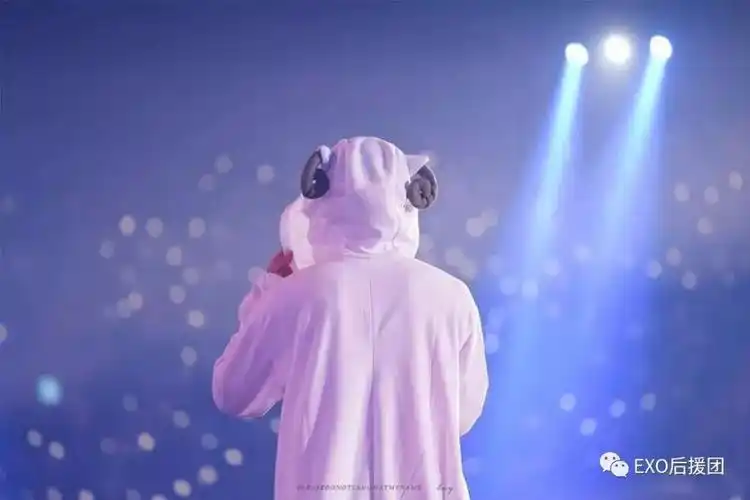 我可以跟在你身后像影子追着光梦游exo爱豆背影特辑