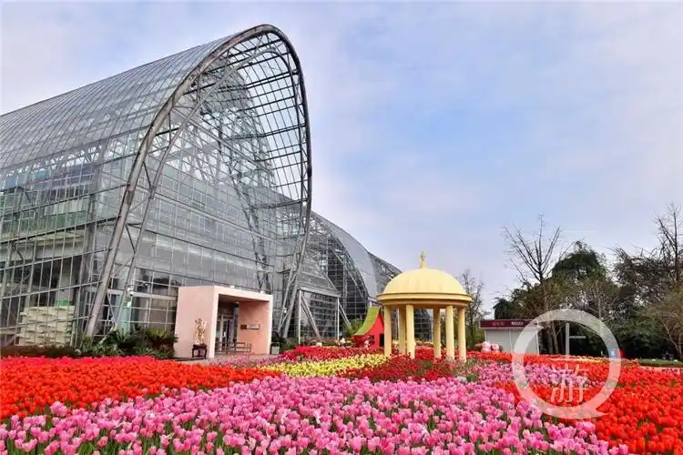 南山植物园每日限流人数提高至17000人