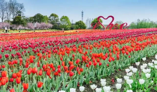 2022上海周浦花海公园门票价格游玩攻略优惠政策