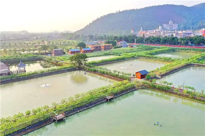 佛山渔耕粤韵旅游文化园建议生态养殖示范区,桑基鱼塘成新景观|养殖业