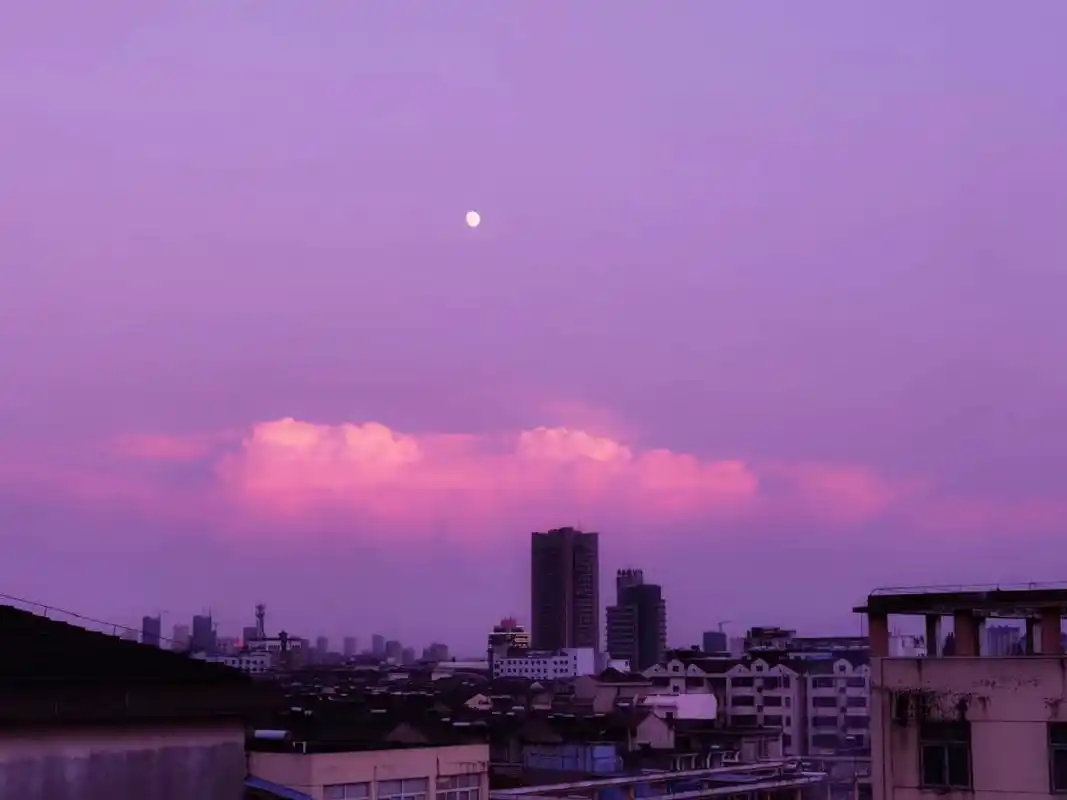 经历过才懂得丧系文案,没有感同身受只有冷暖自知