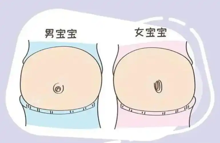 如何科学鉴定胎儿性别?-清宫图预测表