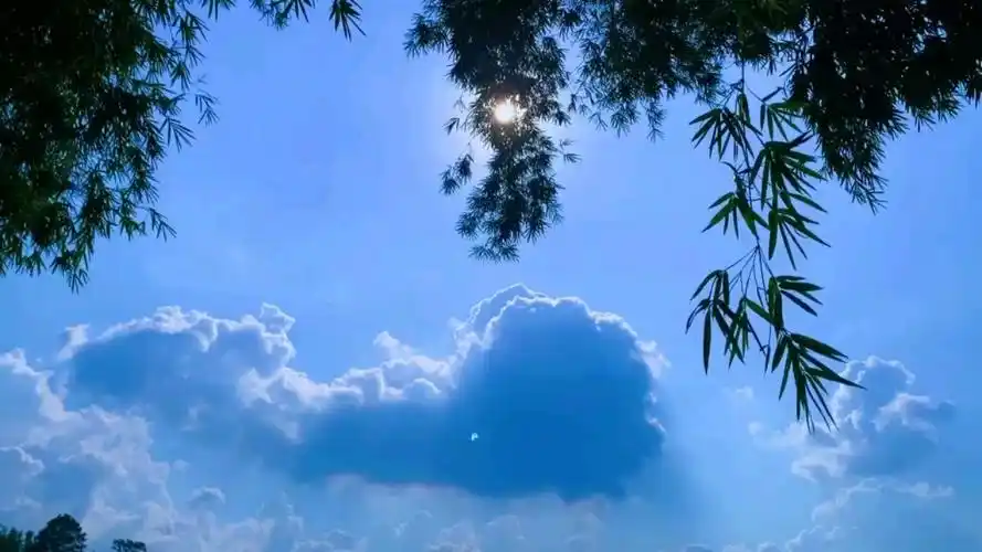 今天的天空像一封深蓝色的情书‖蓝天‖白云‖温柔