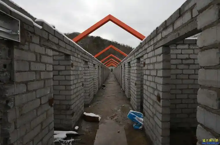 犬舍建设设计图纸和建设现场照片(供大家建设犬舍时候参考)希望能给