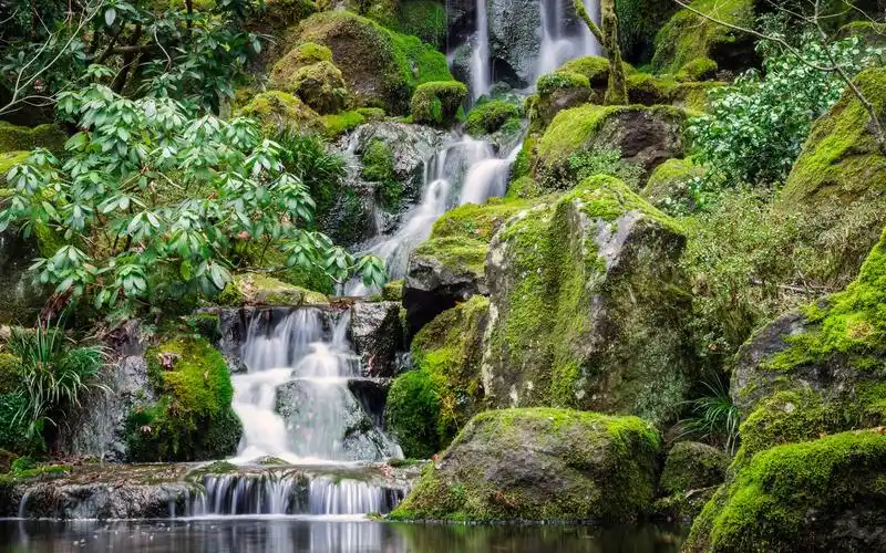 原始森林自然风光高清照片桌面壁纸