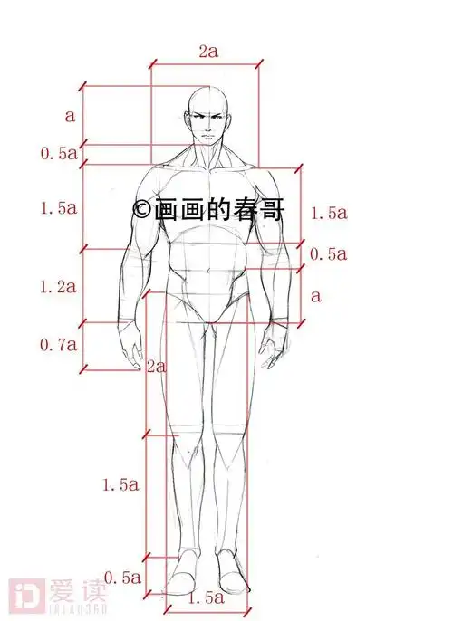 手绘教程男性和女性人体的差别你掌握了吗