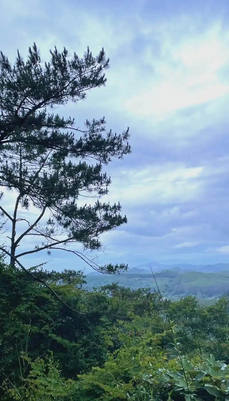 9015探秘福建长泰小黄山风景区 98长泰小黄山,位于福建省漳州市