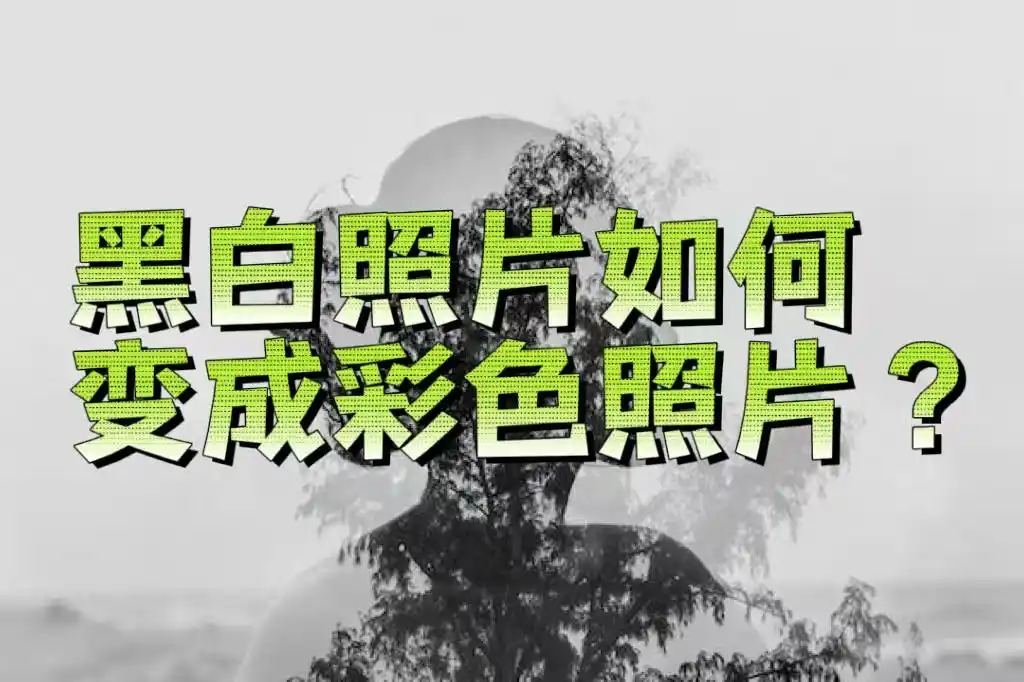 如何把黑白照片变成彩色照片?face pic教你一键生成!