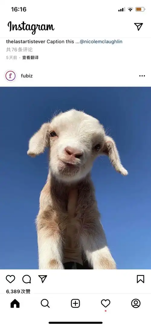 头像背景壁纸图片ins