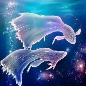 双鱼儿头像