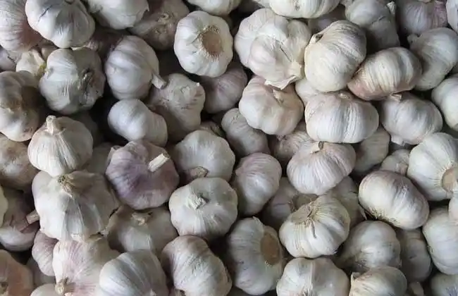 大蒜可以治皮肤病吗?