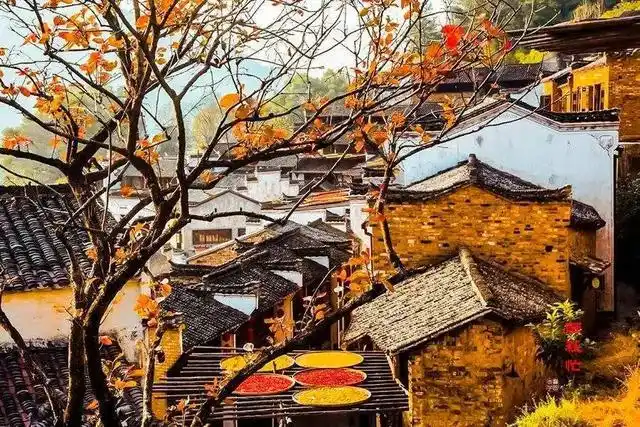 藏在徽州村落里的绝美秋色