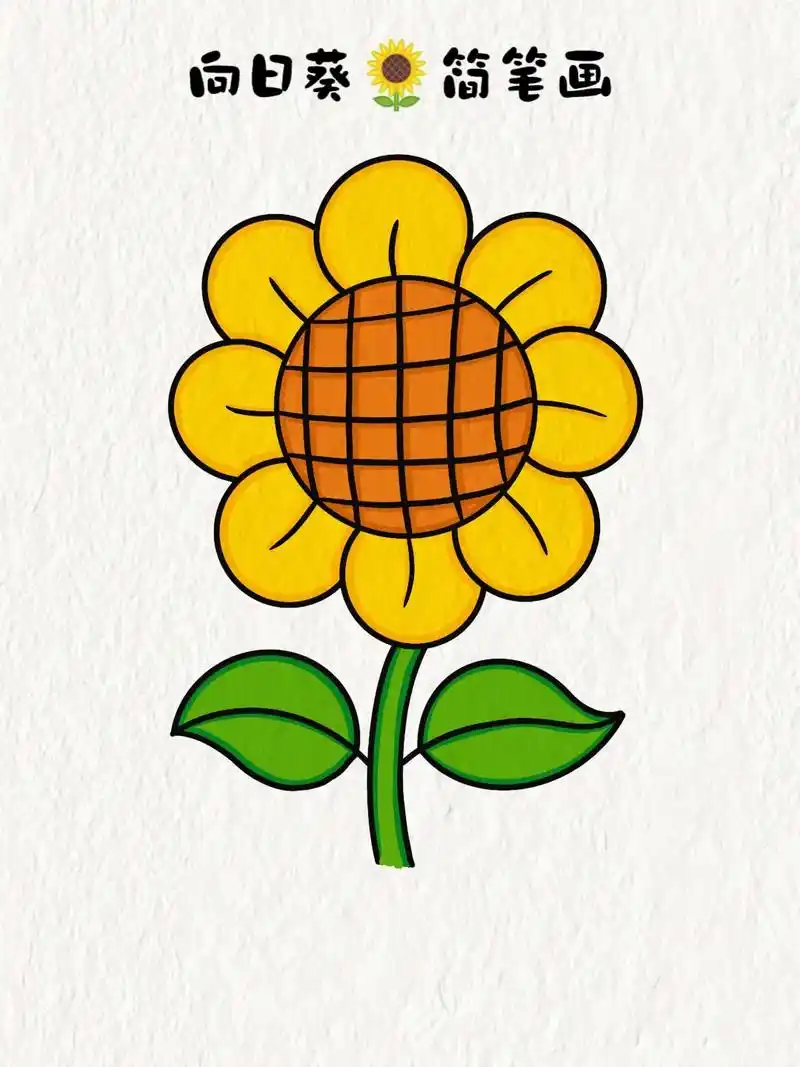 向日葵简笔画.#简笔画 #一学就会系列 #绘画 #图文种草机 - 抖音
