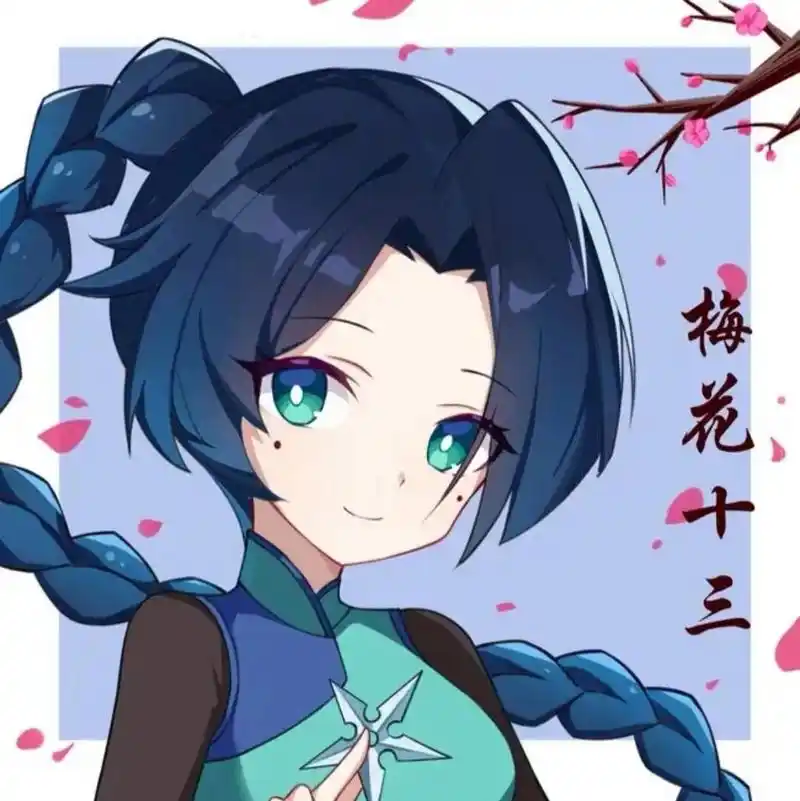 梅花十三图像,喜欢可以收藏