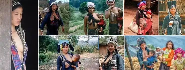 汽车在原始森林里崎岖行驶约150公里,就到了阿卡族部落栖息的村庄