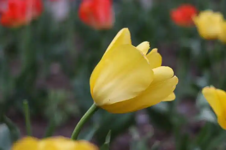 佳能eos77d eos800d实拍样张(15)