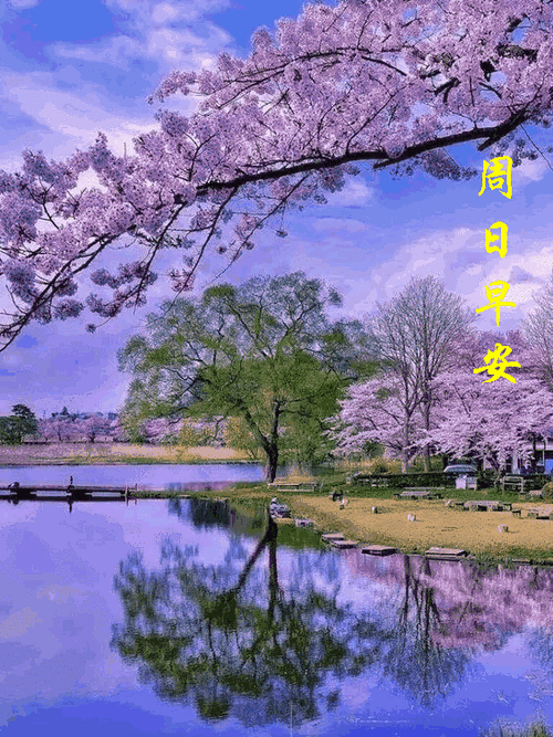 周日美句话要讲得恰到好处多一句少一句都不好祝你周日快乐早安