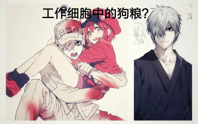 活动作品工作细胞细数身体中的三对cp