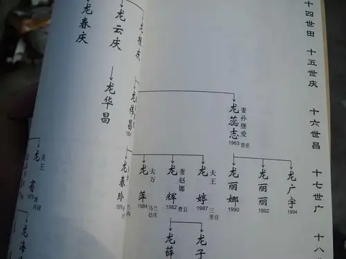 新编山东龙氏家谱一套