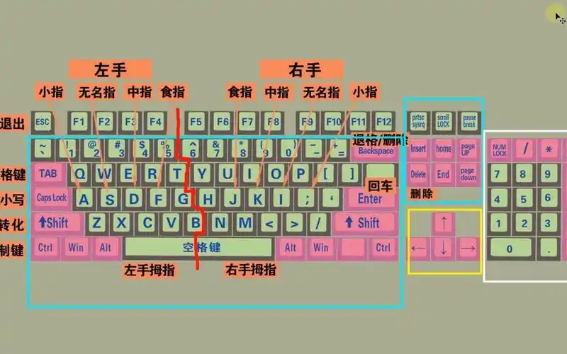 零基础快速学拼音学五笔打字教程,键盘打字快速入门