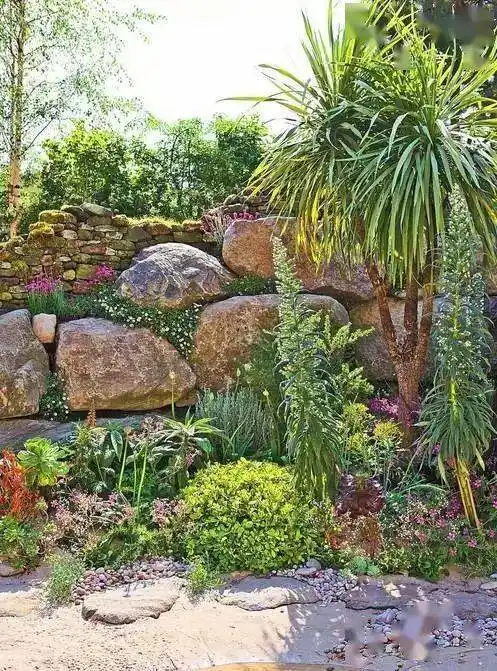 花境,究竟有多美!_植物