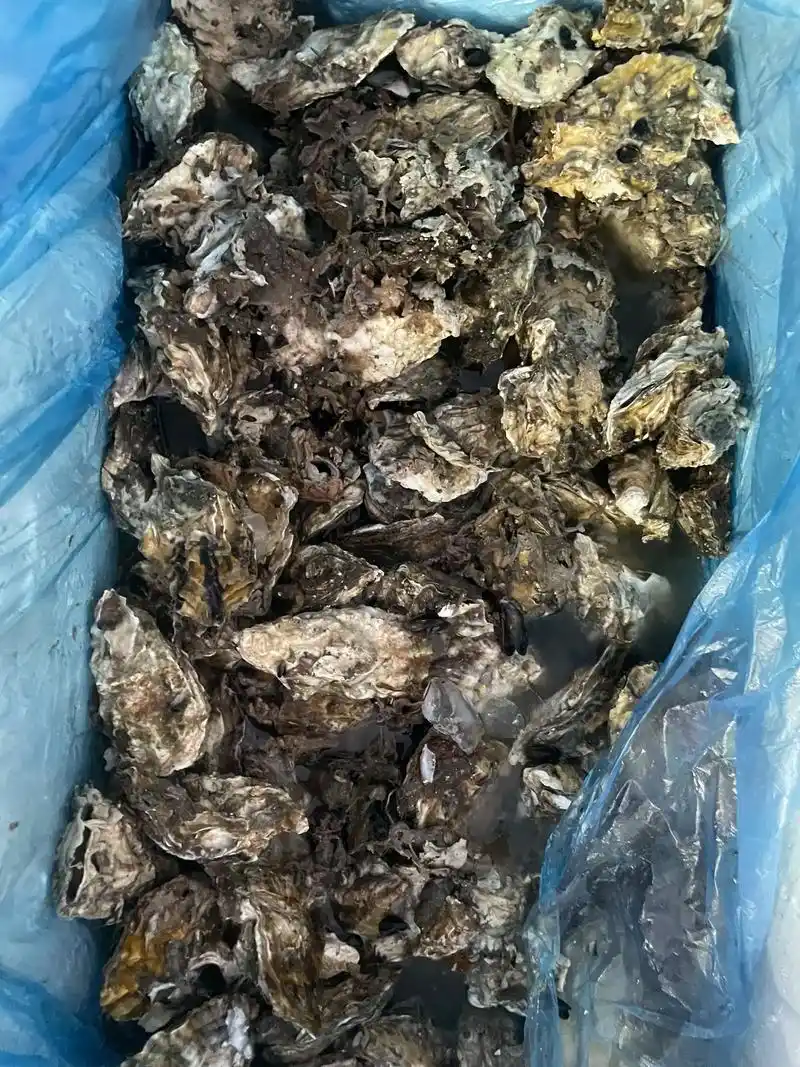 戳子肉最近两天完善回归!#烧烤 #夜宵烧烤 #同城精选美食  - 抖音