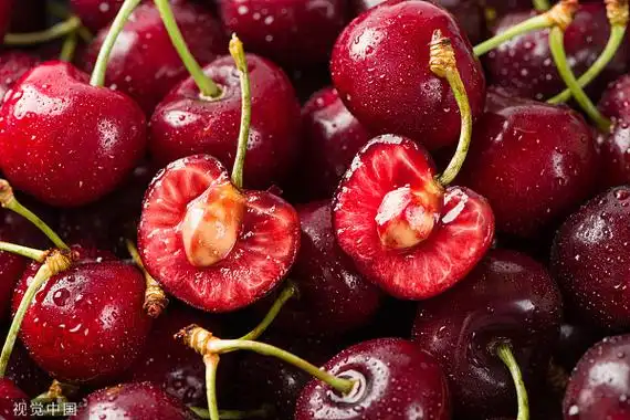 车厘子是大号樱桃