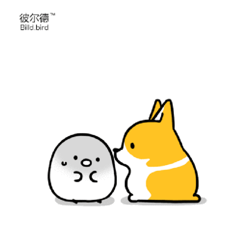 逗趣可爱舔一舔小柯基gif动图_动态图_表情包下载_soogif