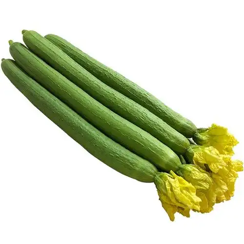 芬果时光新鲜绿皮丝瓜净重2500g