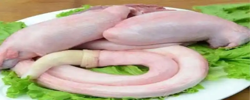 牛鞭是牛的什么器官牛鞭的原料挑选要以公牛生殖器官为原料,取下晾晒