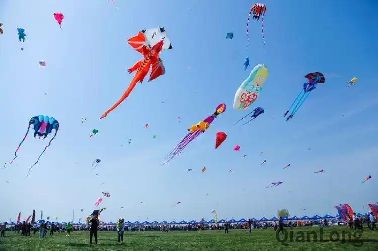 本届风筝会将于4月21日在山东省潍坊市滨海区国际风筝放飞场开幕.