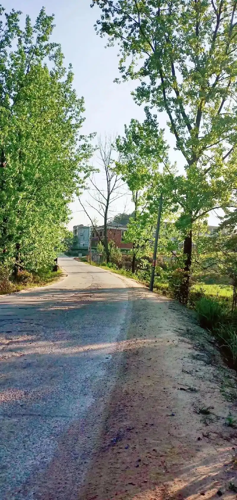 #两年前vs两年后 #路途风景 #乡村道路 你要悄悄地努力, - 抖音