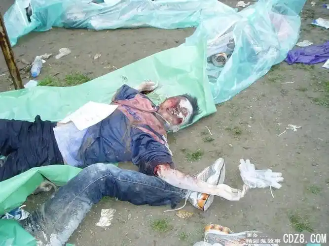 精                                                汶川大地震被禁