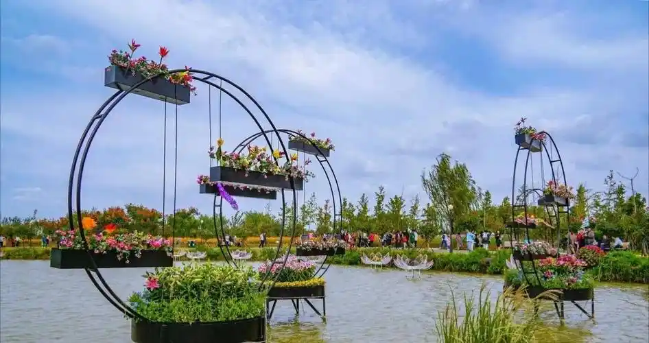 江苏盐城-荷兰花海,我被美感动,送你一场浪漫之旅~记得打卡!