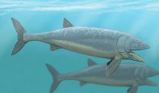 地球10大灭绝的远古海洋巨兽第一沧龙第二龙王鲸第九邓氏鱼