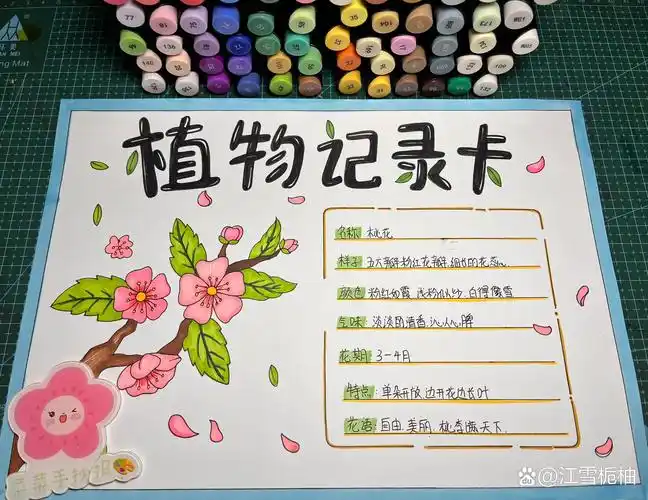 植物记录卡手抄报 植物名片卡,桃花植物记录卡手抄报,植物名片介绍