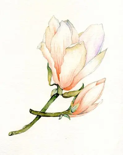 百合花草练习深圳|平面设计师恋上天空的大白70306年前