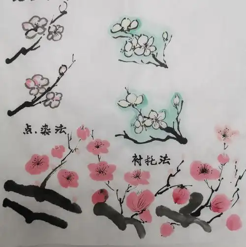 梅花怎么画才好看 画好看的梅花的技巧