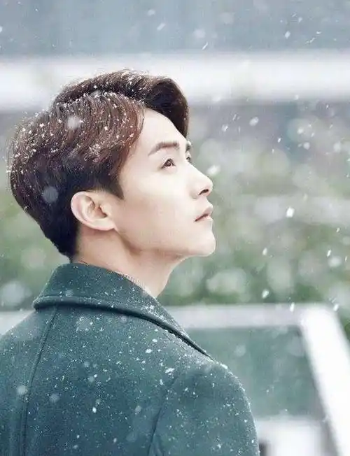 明星雪地拍照:胡歌酷,陈志朋鹿晗美,易烊千玺王俊凯太英俊!