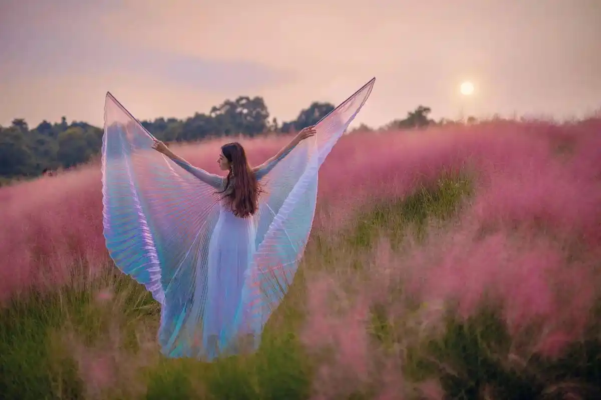 打卡陌上花公园粉黛乱子草攻略.